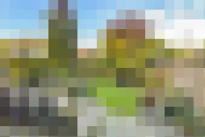Rutenberg 38 Raalte thumbnail 37