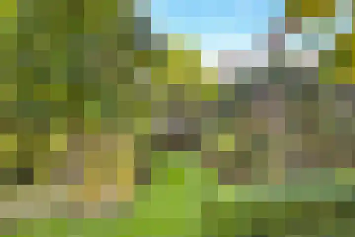 Rutenberg 38 Raalte thumbnail 38