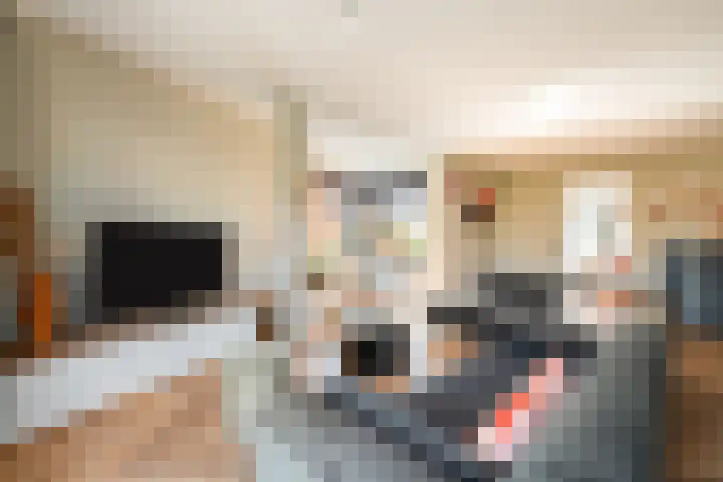 Rutenberg 38 Raalte thumbnail 8