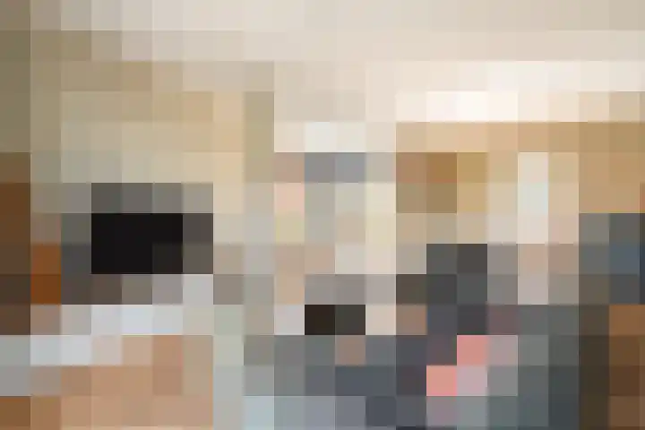 Rutenberg 38 Raalte thumbnail 8