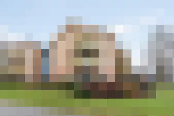 Rutenberg 44 en Raalte