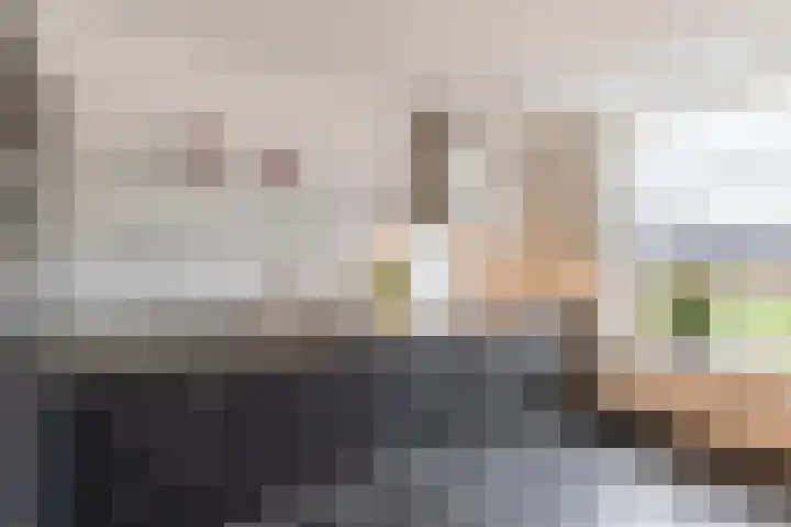 Rutenberg 44 Raalte thumbnail 12