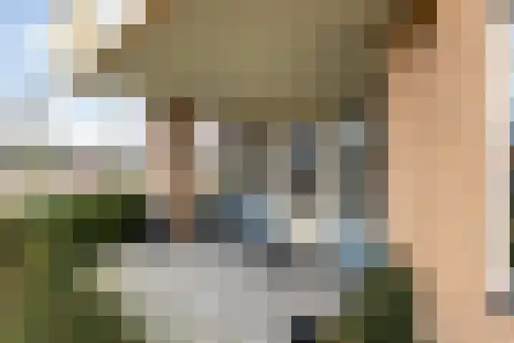 Rutenberg 44 Raalte thumbnail 15