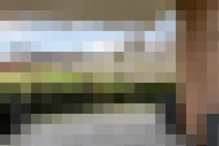 Rutenberg 44 Raalte thumbnail 17
