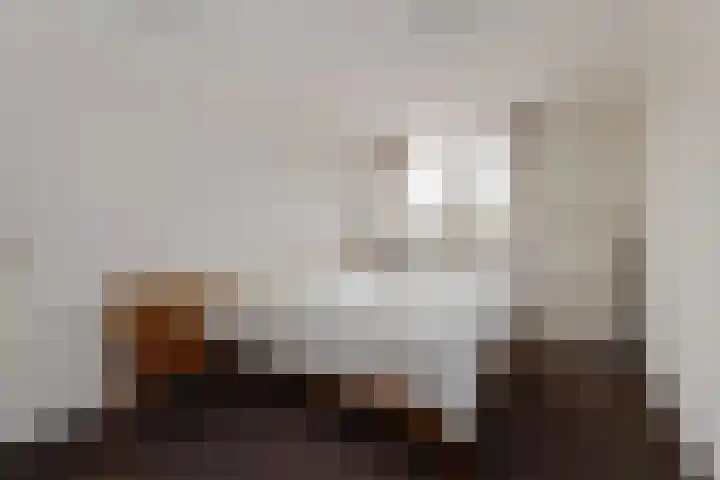 Rutenberg 44 Raalte thumbnail 18