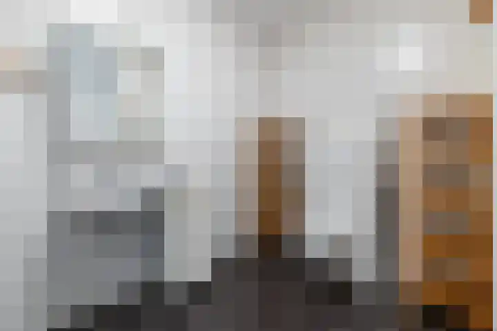 Rutenberg 44 Raalte thumbnail 22
