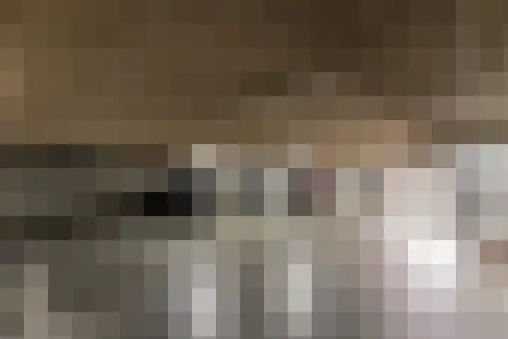 Rutenberg 44 Raalte thumbnail 28