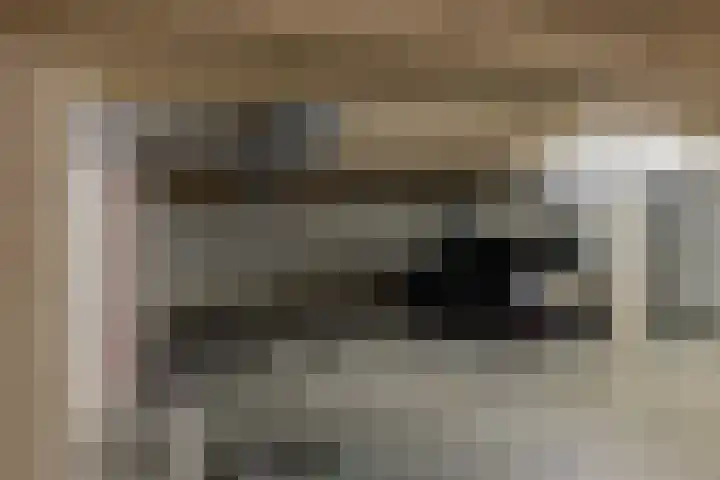 Rutenberg 44 Raalte thumbnail 29