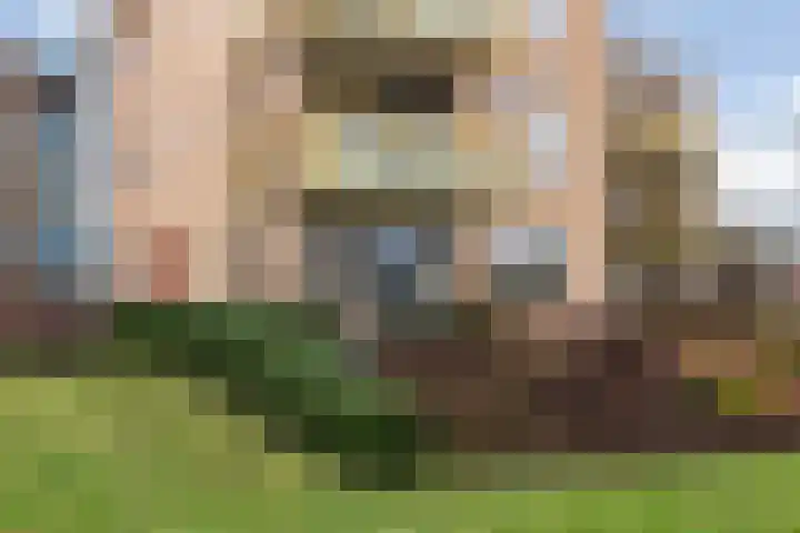 Rutenberg 44 Raalte thumbnail 4