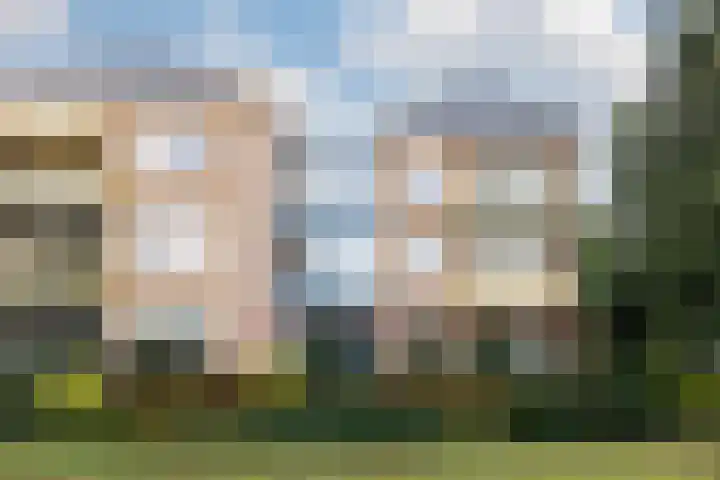 Rutenberg 46 en Raalte