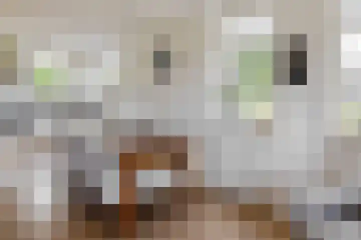 Rutenberg 46 Raalte thumbnail 16
