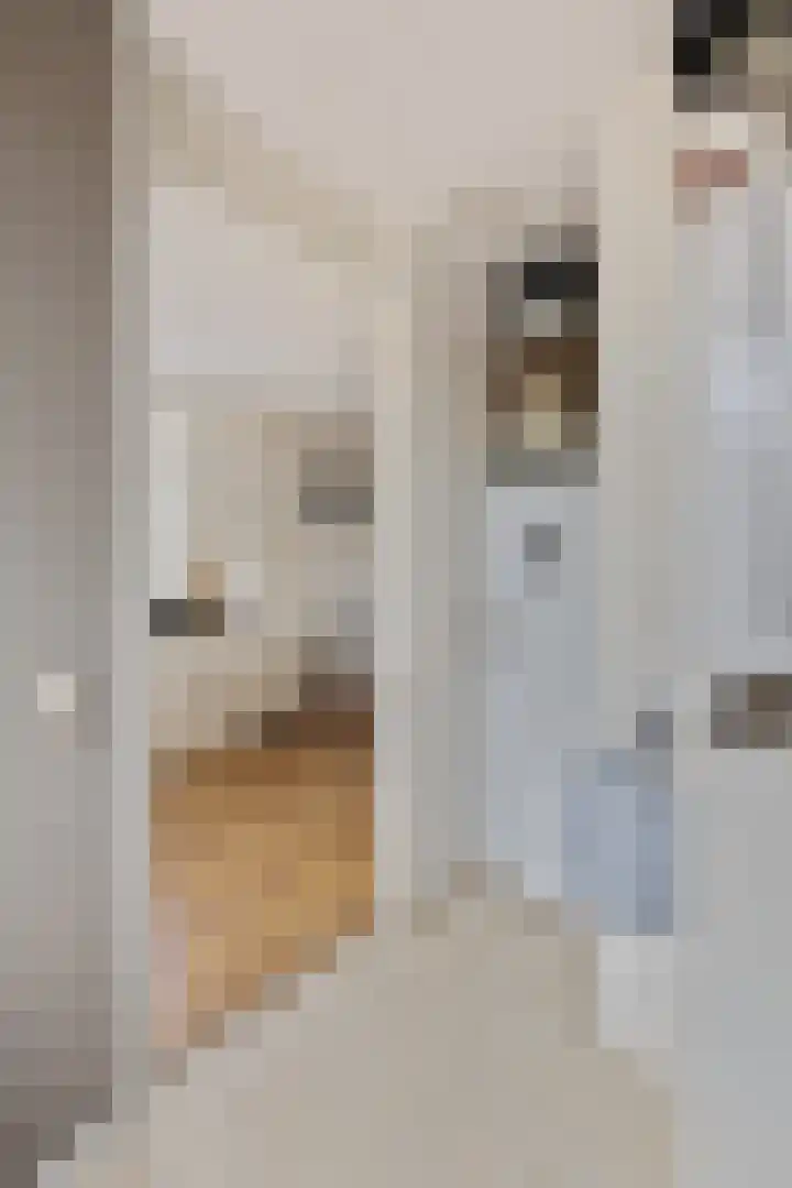 Rutenberg 46 Raalte thumbnail 31