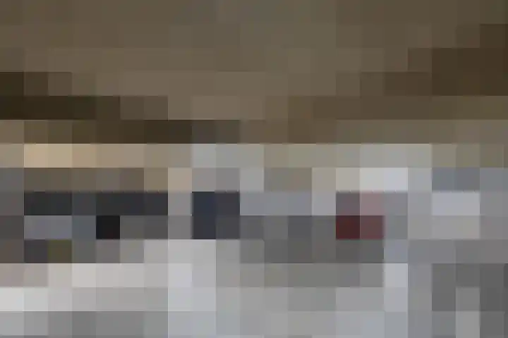 Rutenberg 46 Raalte thumbnail 35