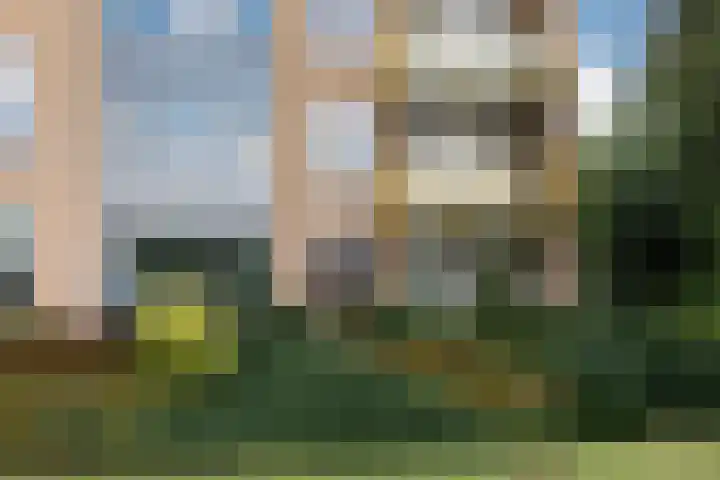 Rutenberg 46 Raalte thumbnail 4