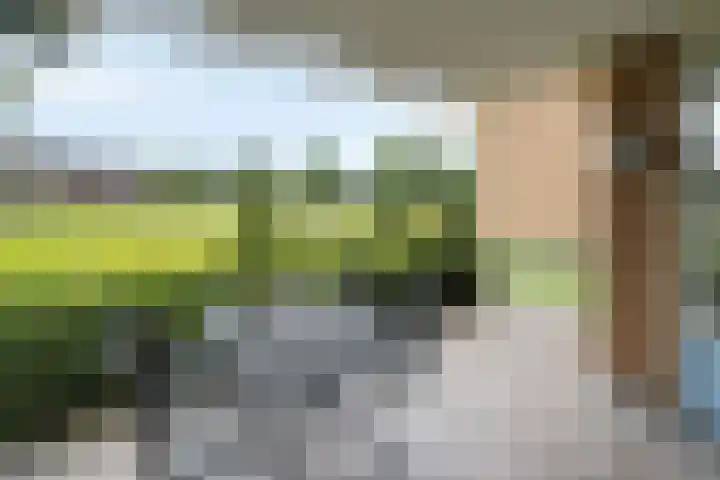 Rutenberg 46 Raalte thumbnail 6