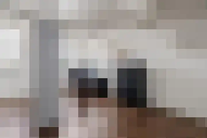 Rutenberg 5 Raalte thumbnail 22