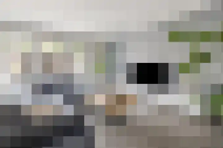 Rutenberg 5 Raalte thumbnail 4