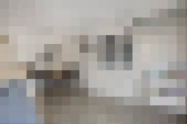 Rutenberg 5 Raalte thumbnail 7