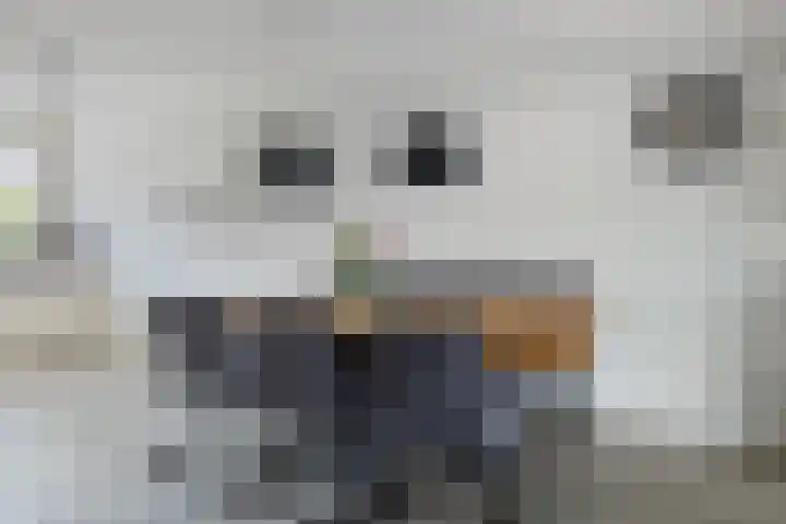 Rutenberg 5 Raalte thumbnail 8