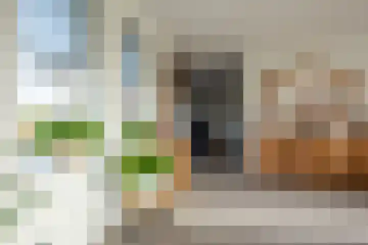 Ruterspet 5 Harkema thumbnail 11