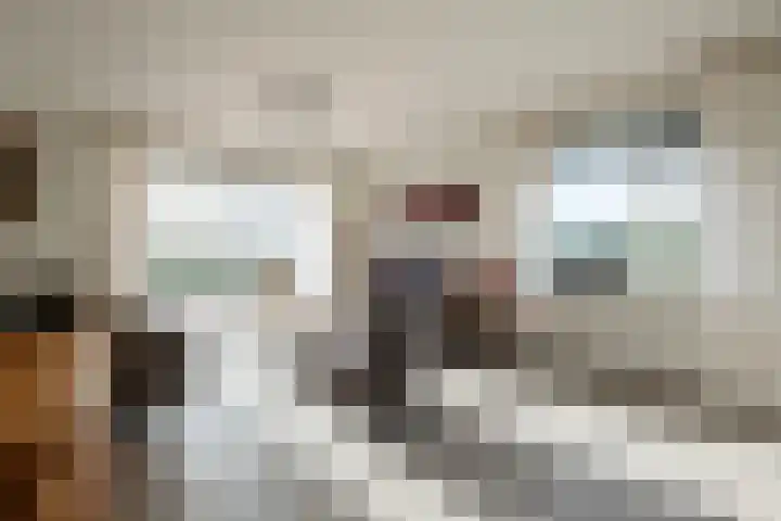 Ruterspet 5 Harkema thumbnail 12