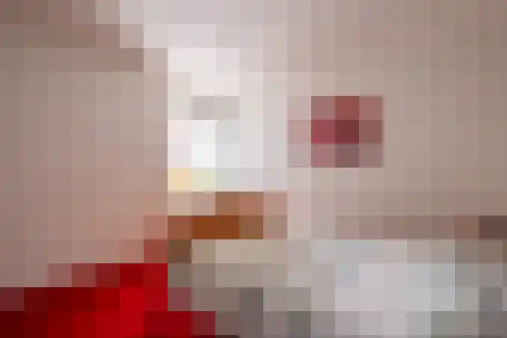 Ruterspet 5 Harkema thumbnail 15