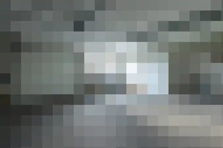 Ruterspet 5 Harkema thumbnail 23