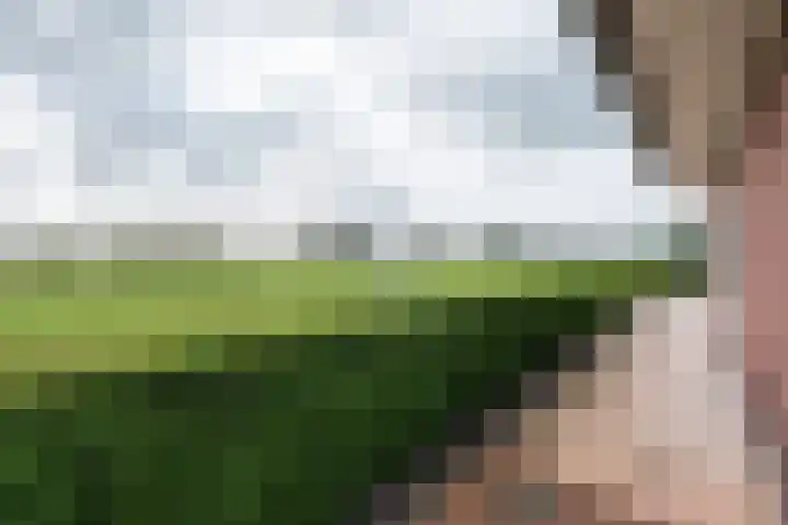 Ruterspet 5 Harkema thumbnail 27