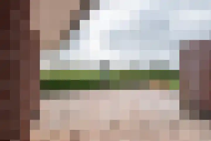 Ruterspet 5 Harkema thumbnail 29