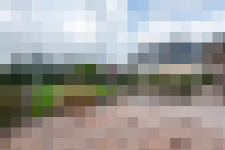 Ruterspet 5 Harkema thumbnail 30