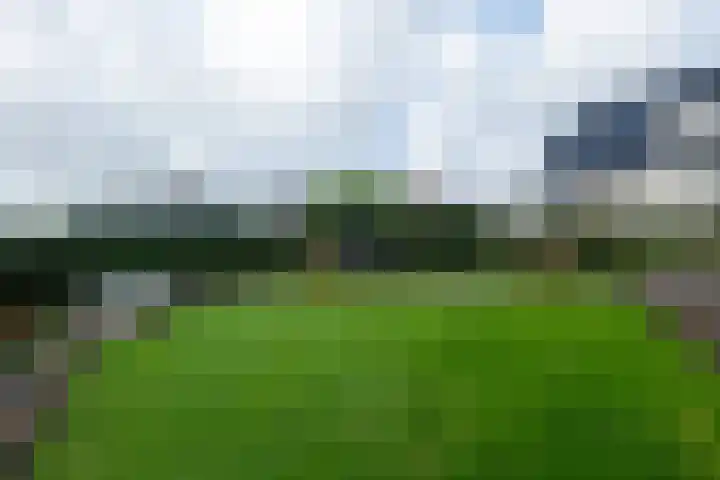 Ruterspet 5 Harkema thumbnail 31