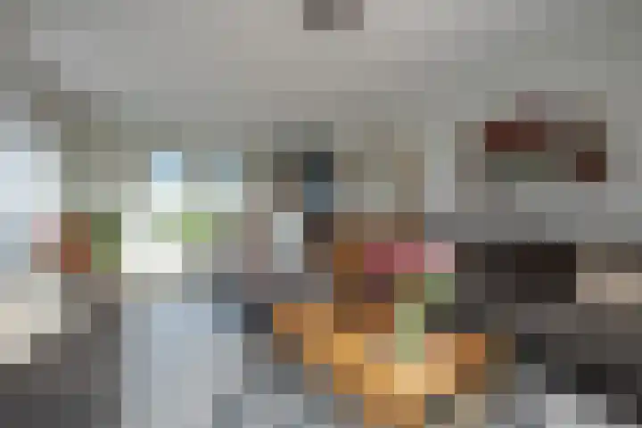Ruterspet 5 Harkema thumbnail 4