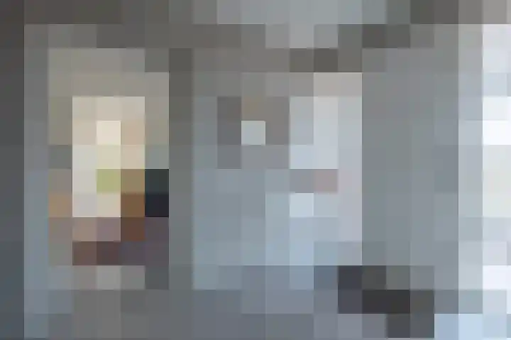 Ruterspet 5 Harkema thumbnail 7