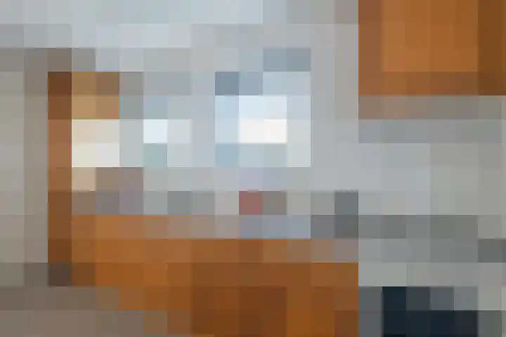 Ruterspet 5 Harkema thumbnail 9