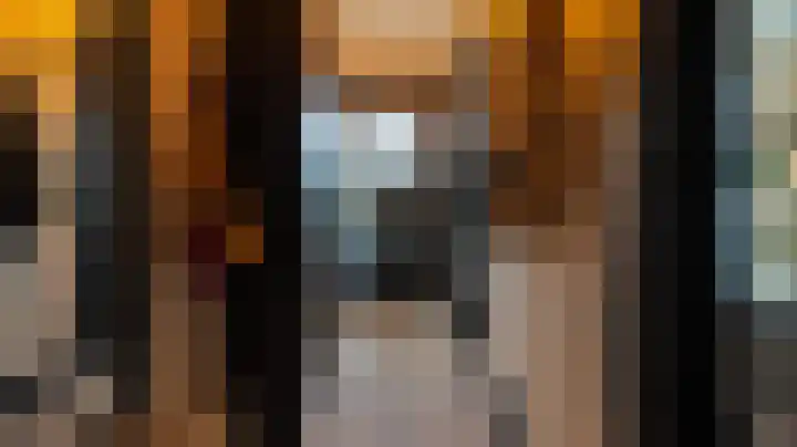 Rutger Jan Schimmelpenninckstraat 21 Almelo thumbnail 11