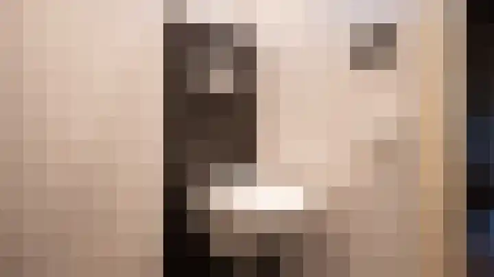 Rutger Jan Schimmelpenninckstraat 21 Almelo thumbnail 23