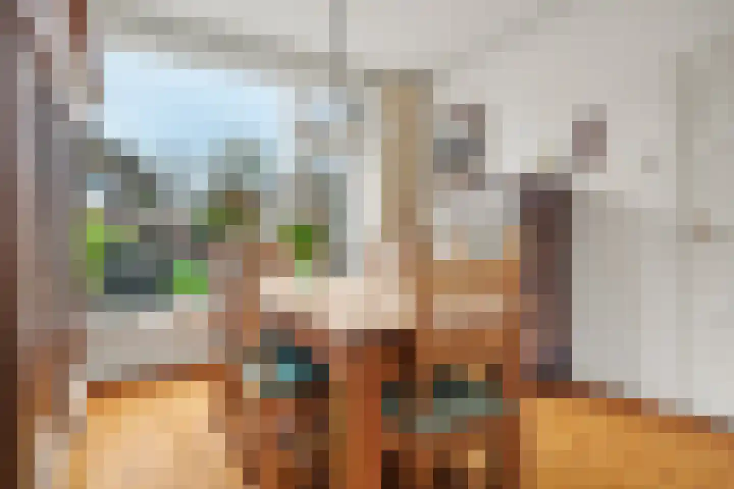Rutger Jan Schimmelpenninckstraat 37 Almelo thumbnail 11