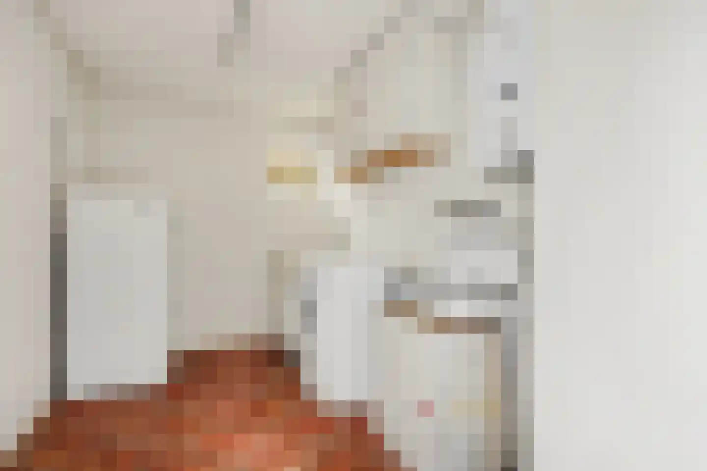 Rutger Jan Schimmelpenninckstraat 37 Almelo thumbnail 16