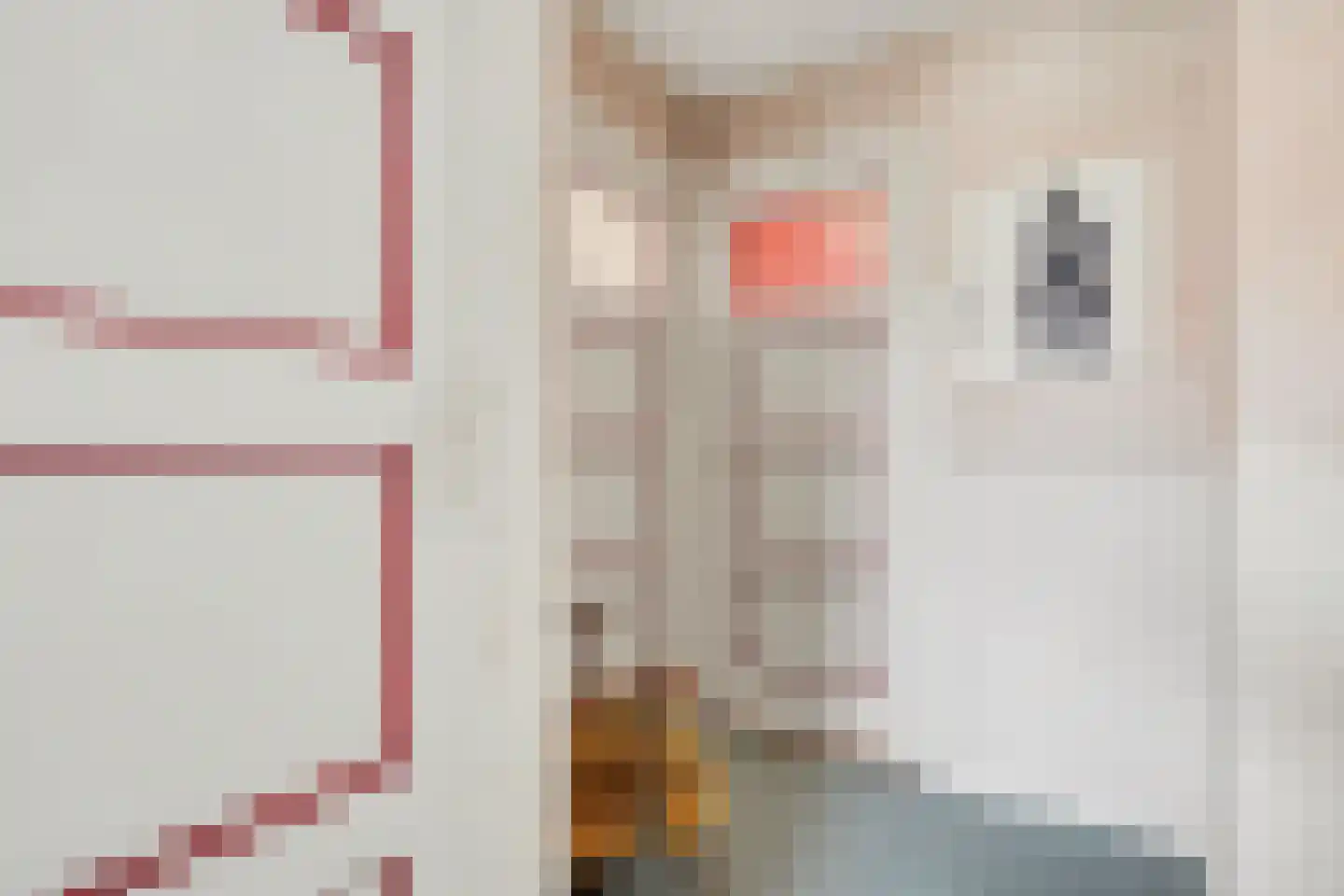 Rutger Jan Schimmelpenninckstraat 37 Almelo thumbnail 18