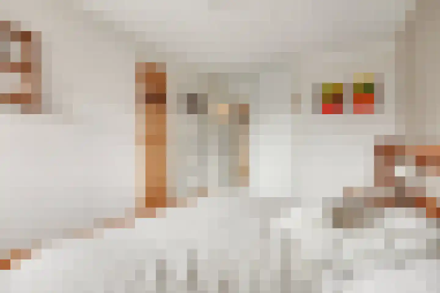 Rutger Jan Schimmelpenninckstraat 37 Almelo thumbnail 20
