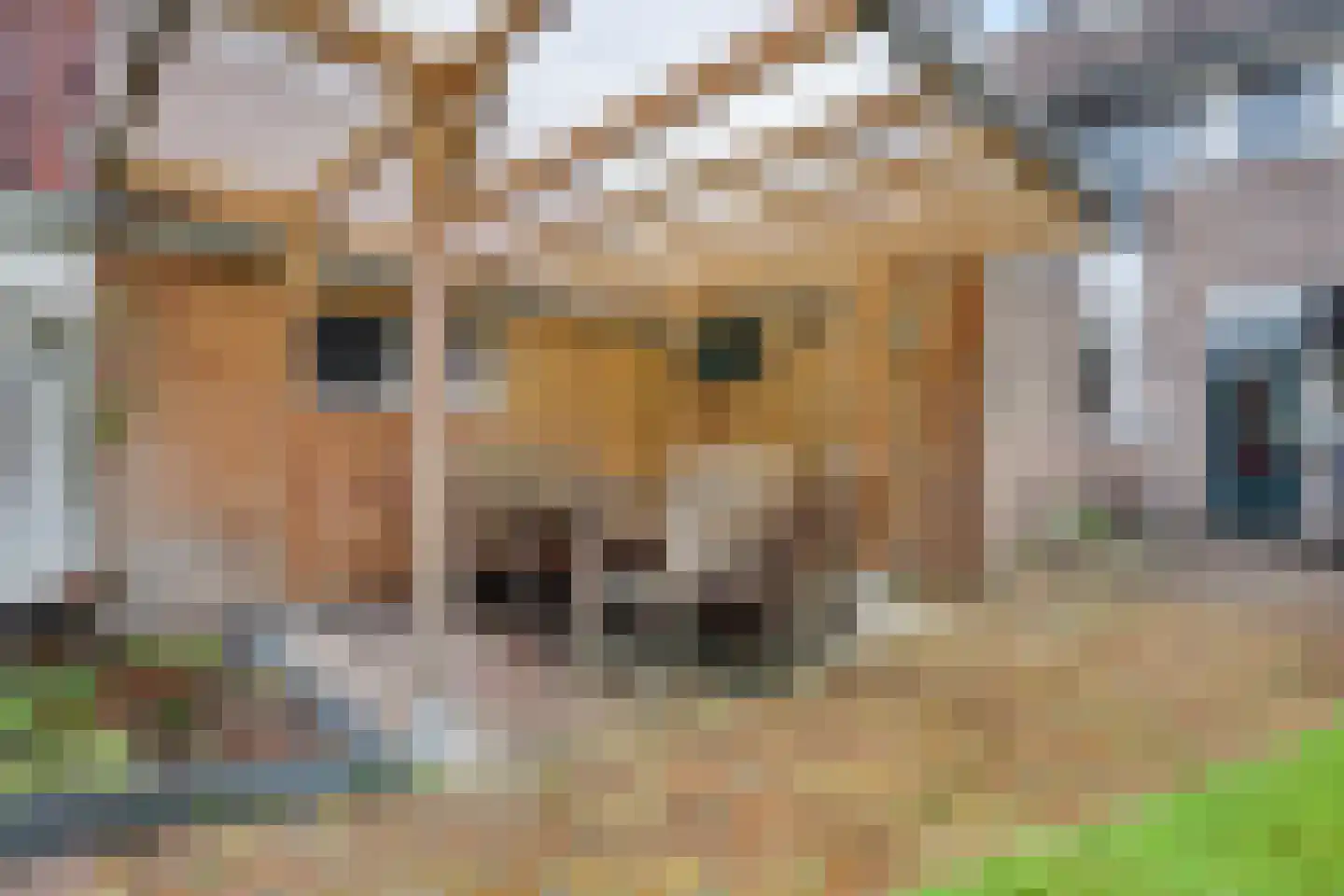 Rutger Jan Schimmelpenninckstraat 37 Almelo thumbnail 36
