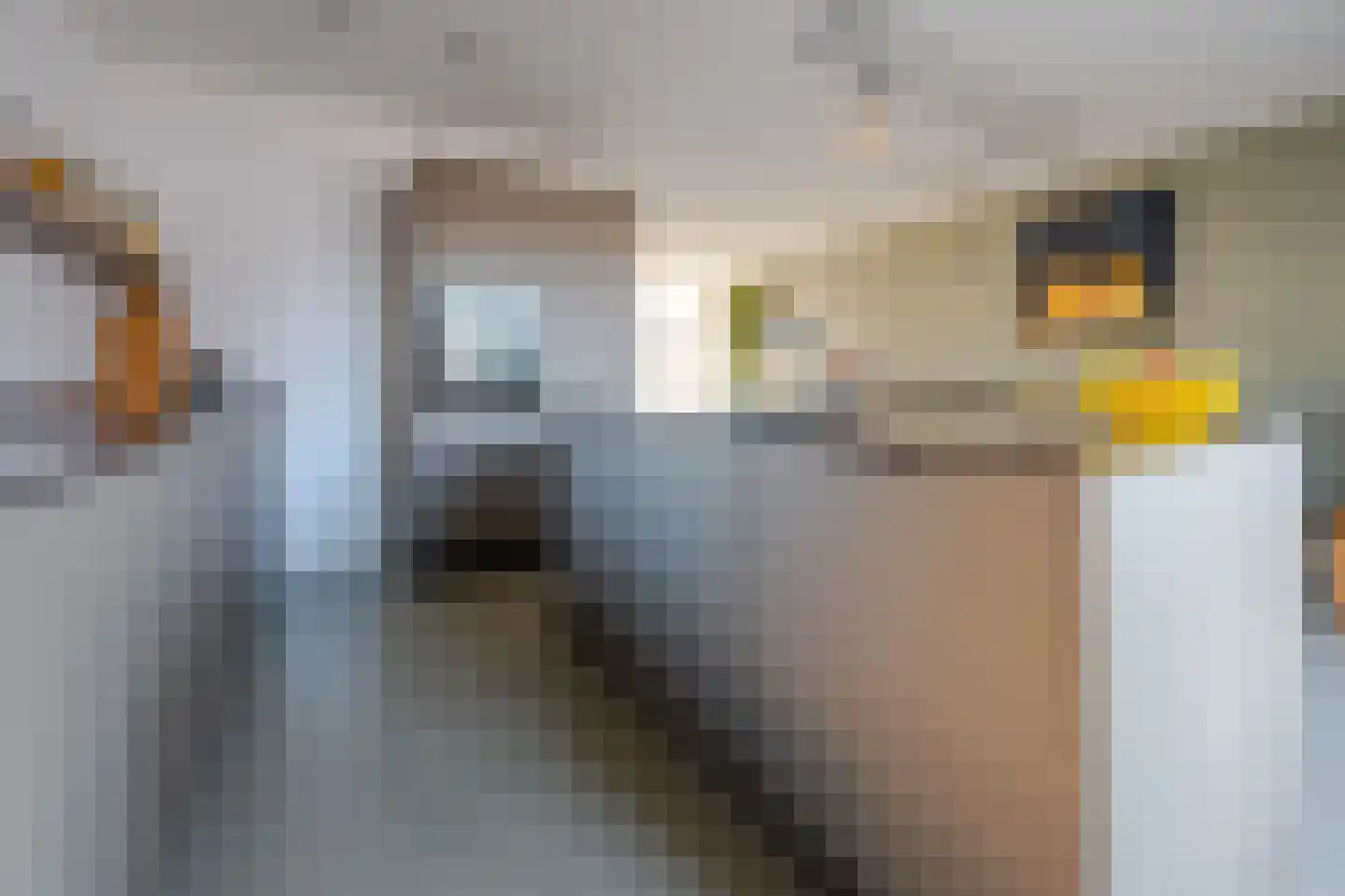 Rutger Loenenweg 4 Austerlitz thumbnail 18