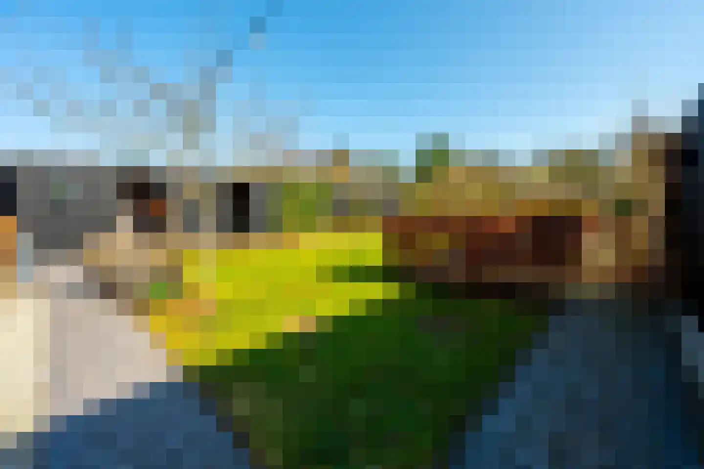 Rutger Loenenweg 4 Austerlitz thumbnail 50