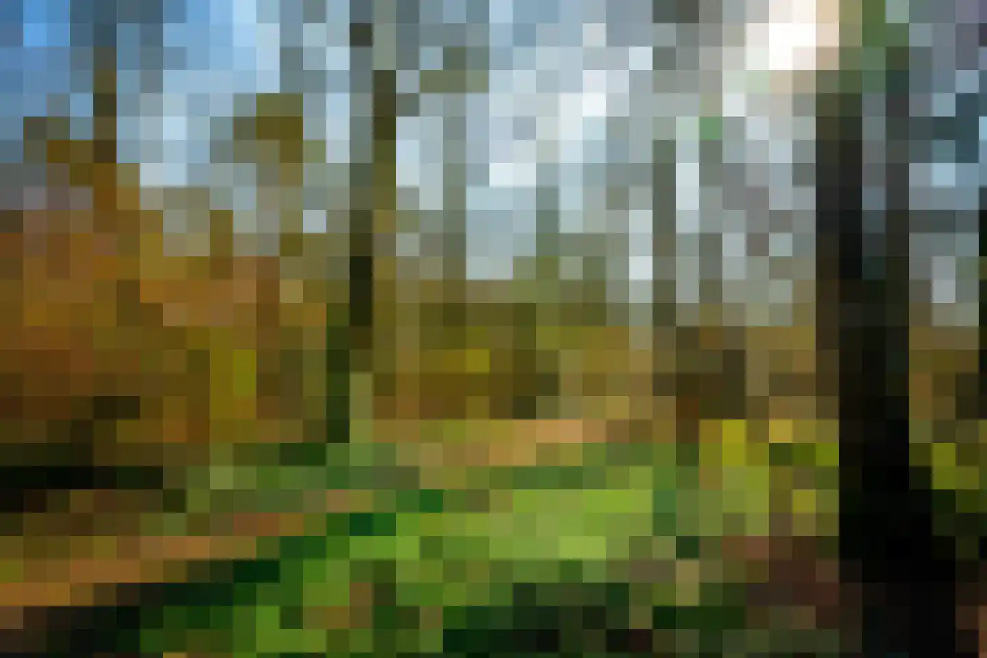 Rutger Loenenweg 4 Austerlitz thumbnail 53