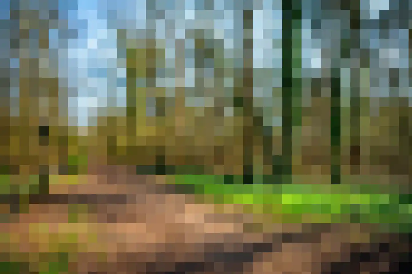 Rutger Loenenweg 4 Austerlitz thumbnail 54