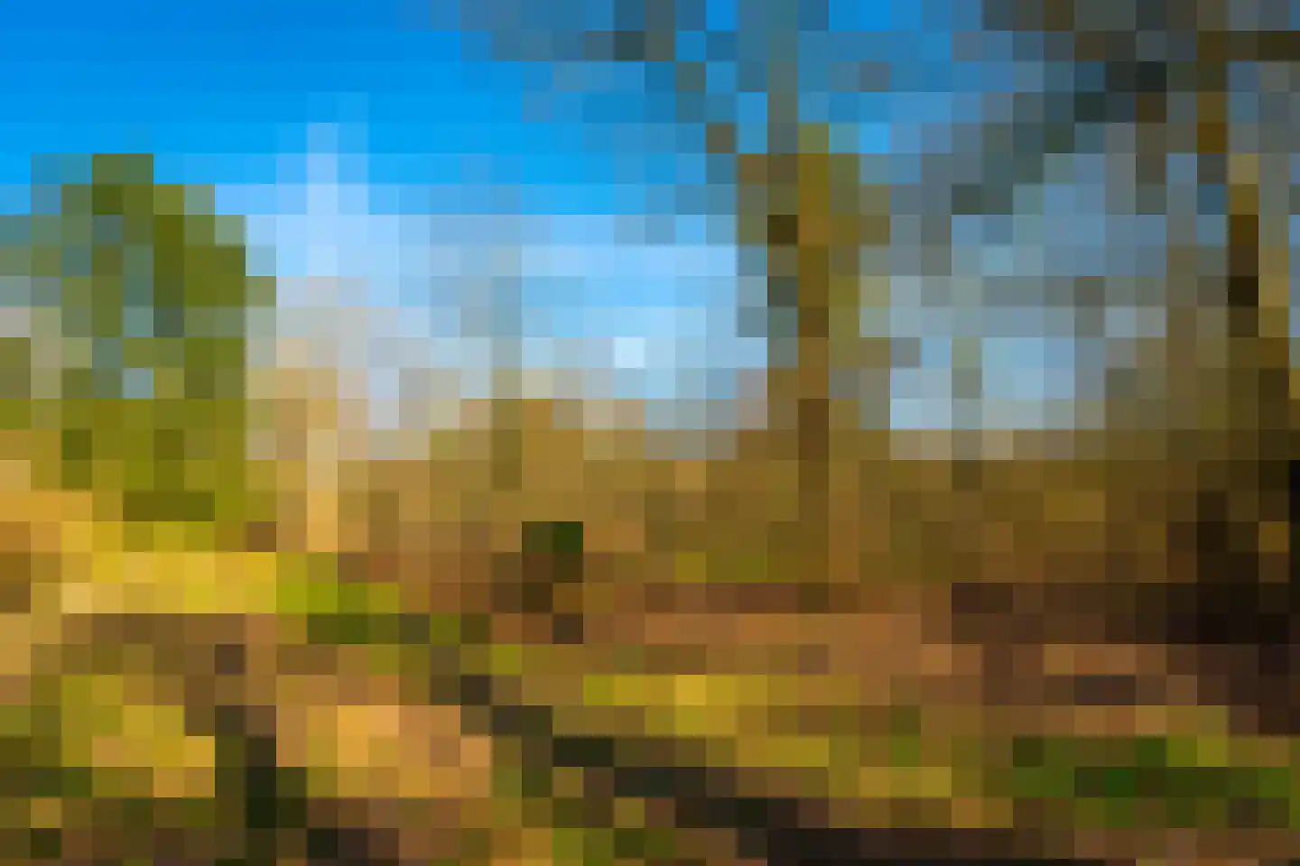 Rutger Loenenweg 4 Austerlitz thumbnail 55