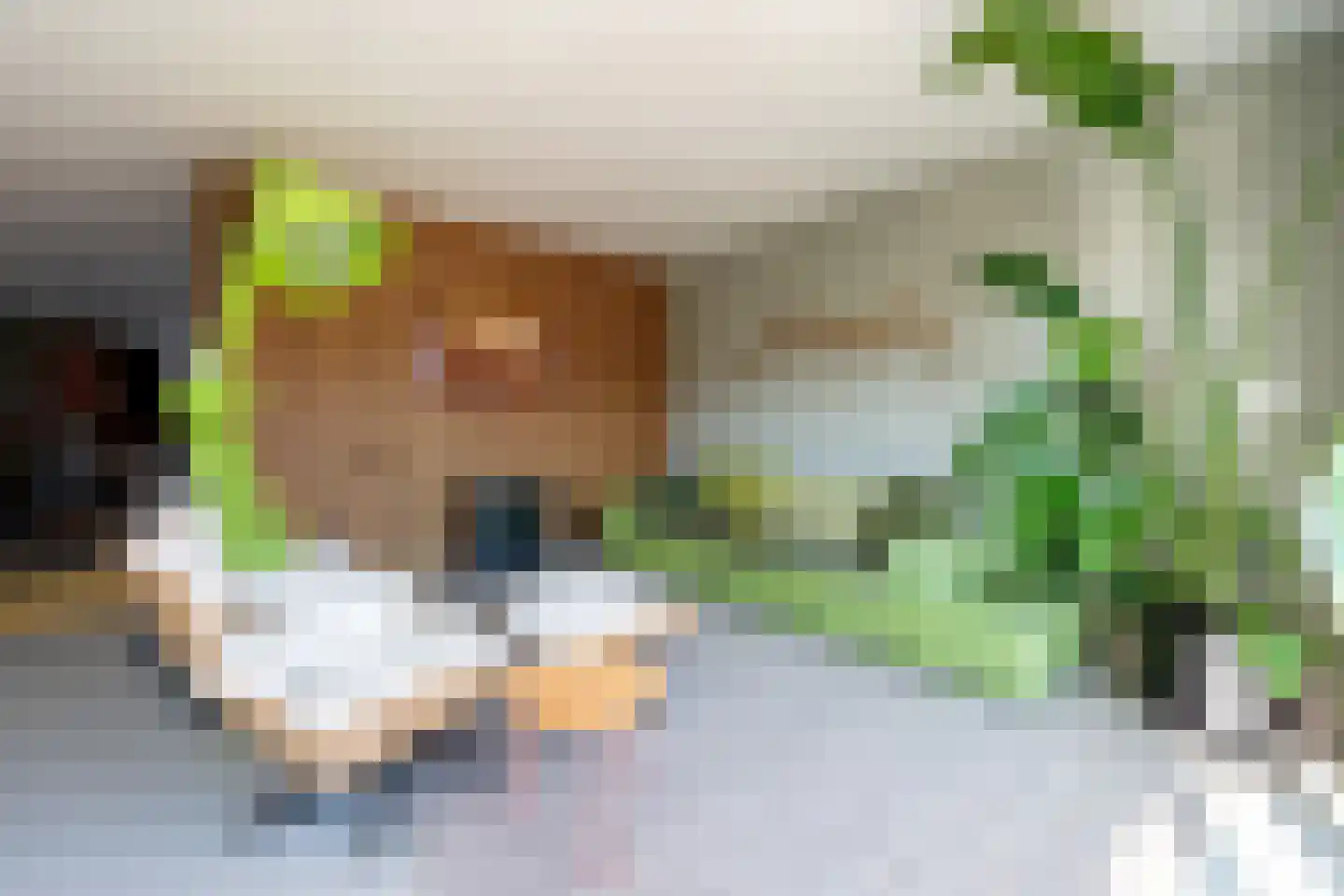 Rutger Loenenweg 4 Austerlitz thumbnail 8