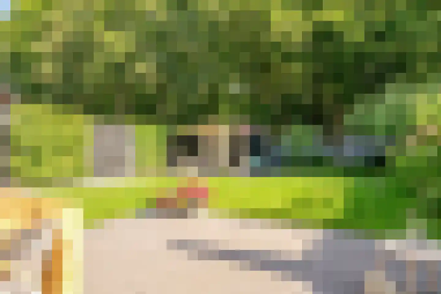 Rutger Loenenweg 62 Austerlitz thumbnail 29