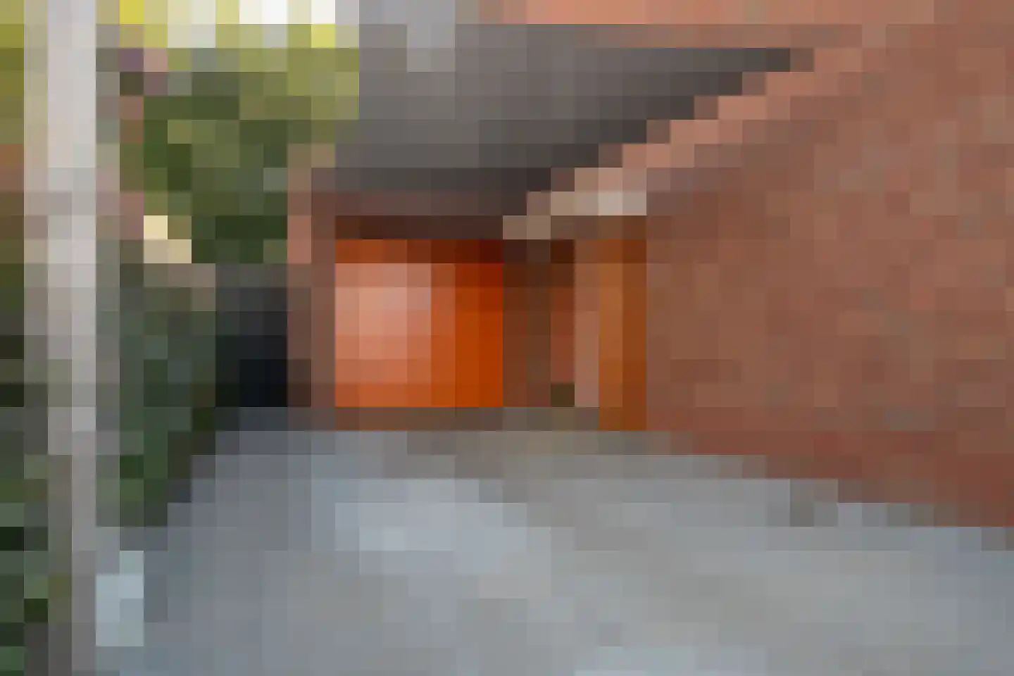 Rutger Loenenweg 62 Austerlitz thumbnail 31