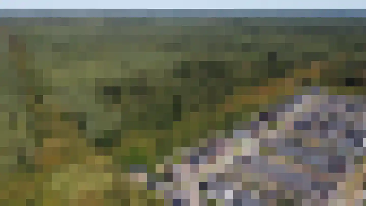 Rutger Loenenweg 62 Austerlitz thumbnail 36